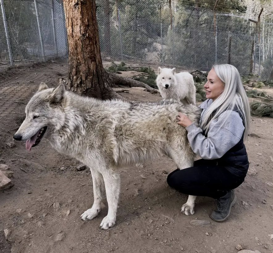 Nicole with a wolfdog and Neo at an animal sanctuary