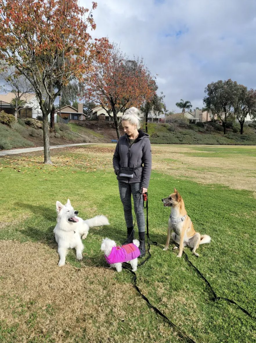 Nicole on a park walk with three dogs on leash